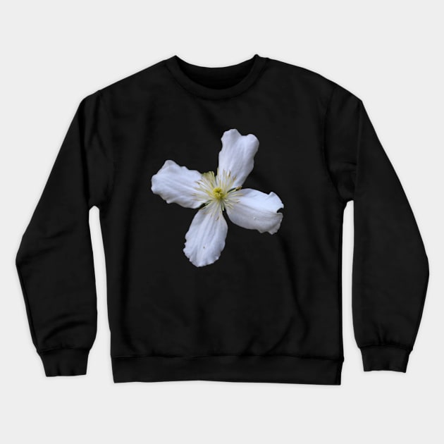 flower Crewneck Sweatshirt by rickylabellevie